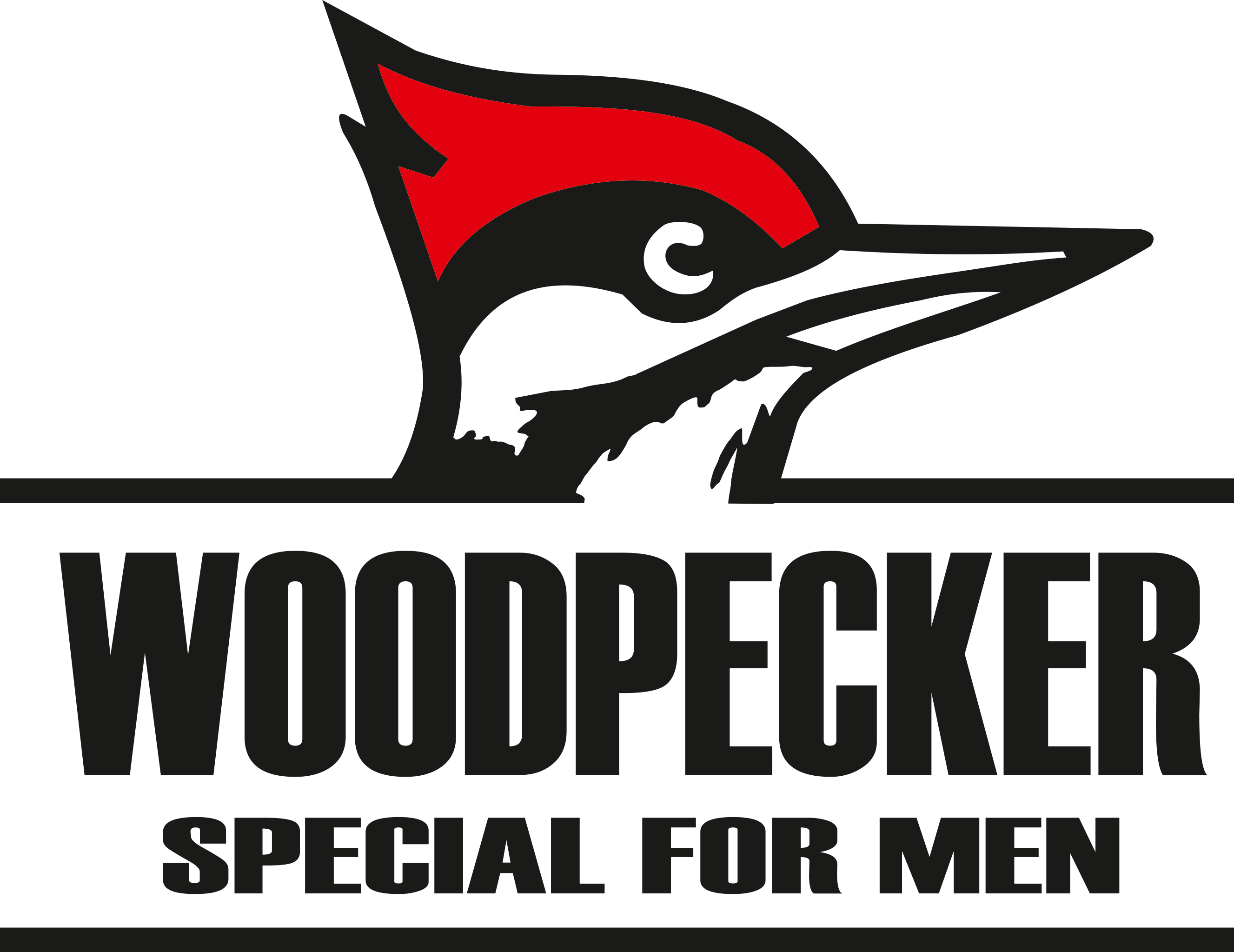 WOODPECKER - %100 BİTKİSEL ERKEK GÜCÜ TAKVİYESİ